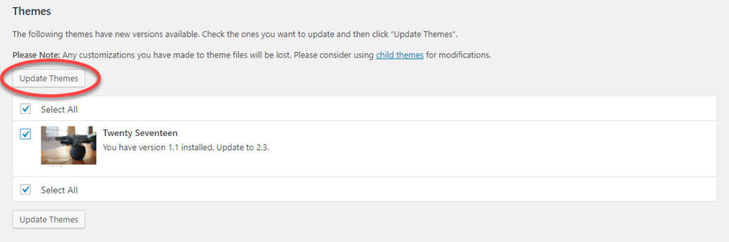 WordPress admin screen showing theme update available.