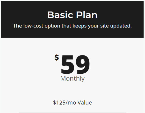Image of text: Basic plan, $59/month a $125/mo. value. This is the low-cost option that keeps your site updated.