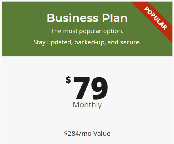 Image of text: Business plan, $79/month a $284/mo. value. The most popular option. Stay updated, backed-up, and secure.