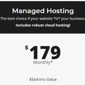 Image of price tag: Managed Hosting, $179/month a $564/mo. value. The best choice if your website *is* your business. Includes robust cloud hosting!